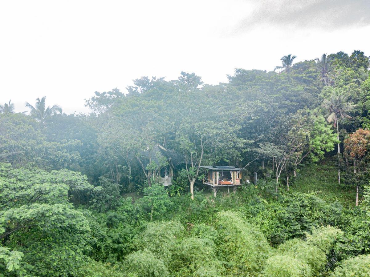 Bird Hills Bamboo House Villa Karangasem Buitenkant foto